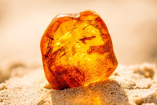 سنگ کهربا: جواهر طبیعی با خواص شگفتانگیز و تاریخچهای غنی 3 Amber1 1